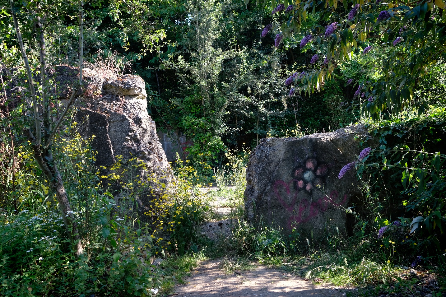 The Markfield Legacy Garden
