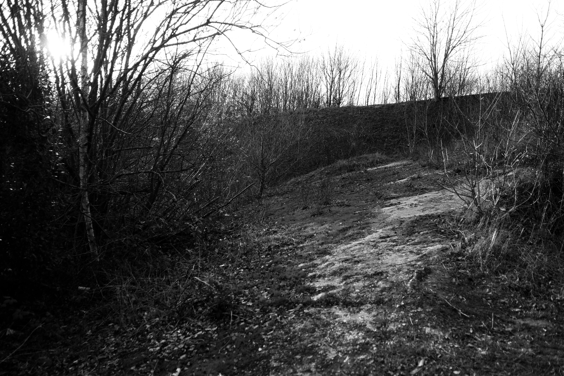 A muddy footpath winding through bare winter birches on the flank of the mound.