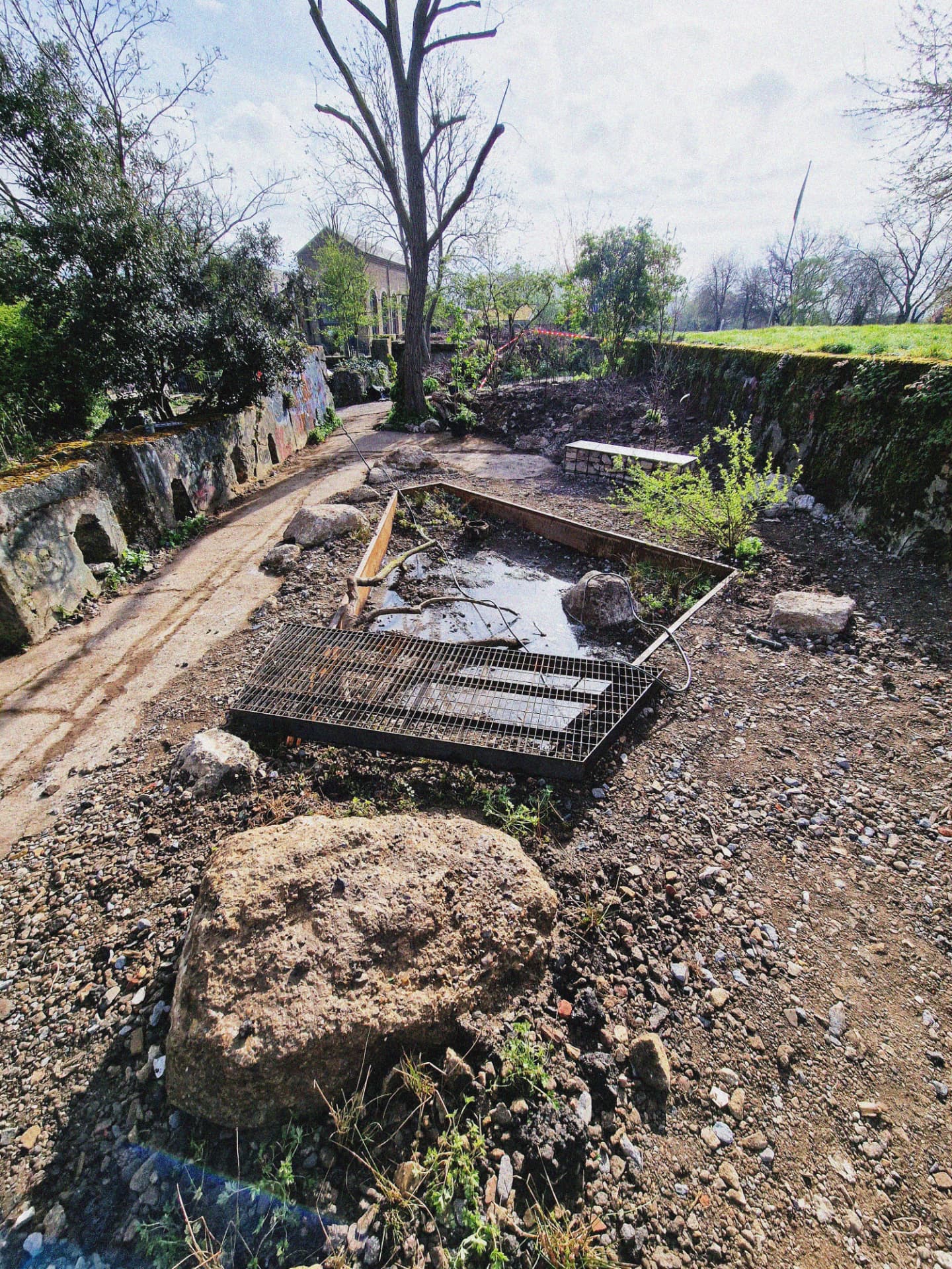 The Pond