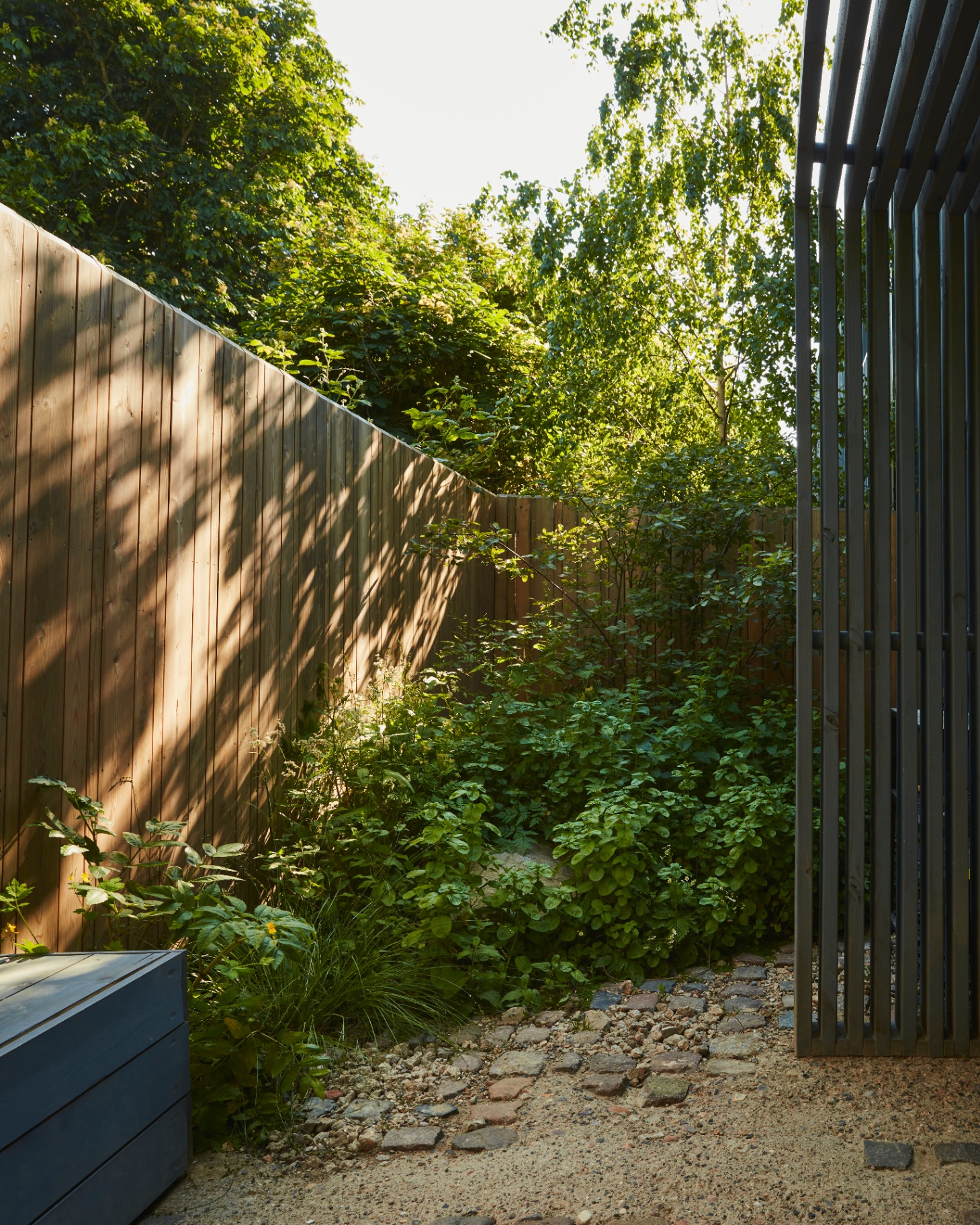 A cast concrete path threads between planting and slatted timber façades.