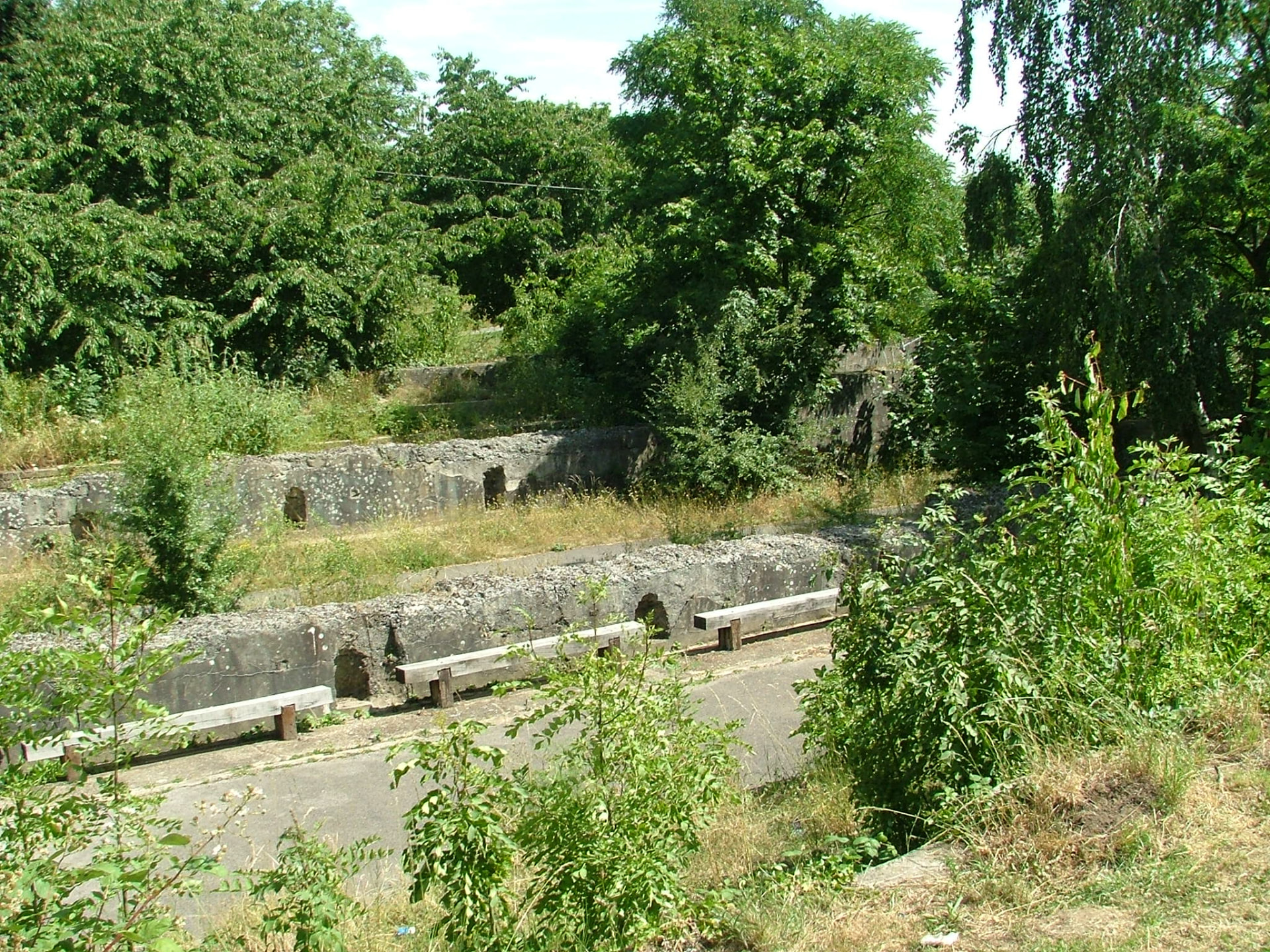 Overgrown concrete settlement tanks at Markfield Park before the Legacy Garden transformation