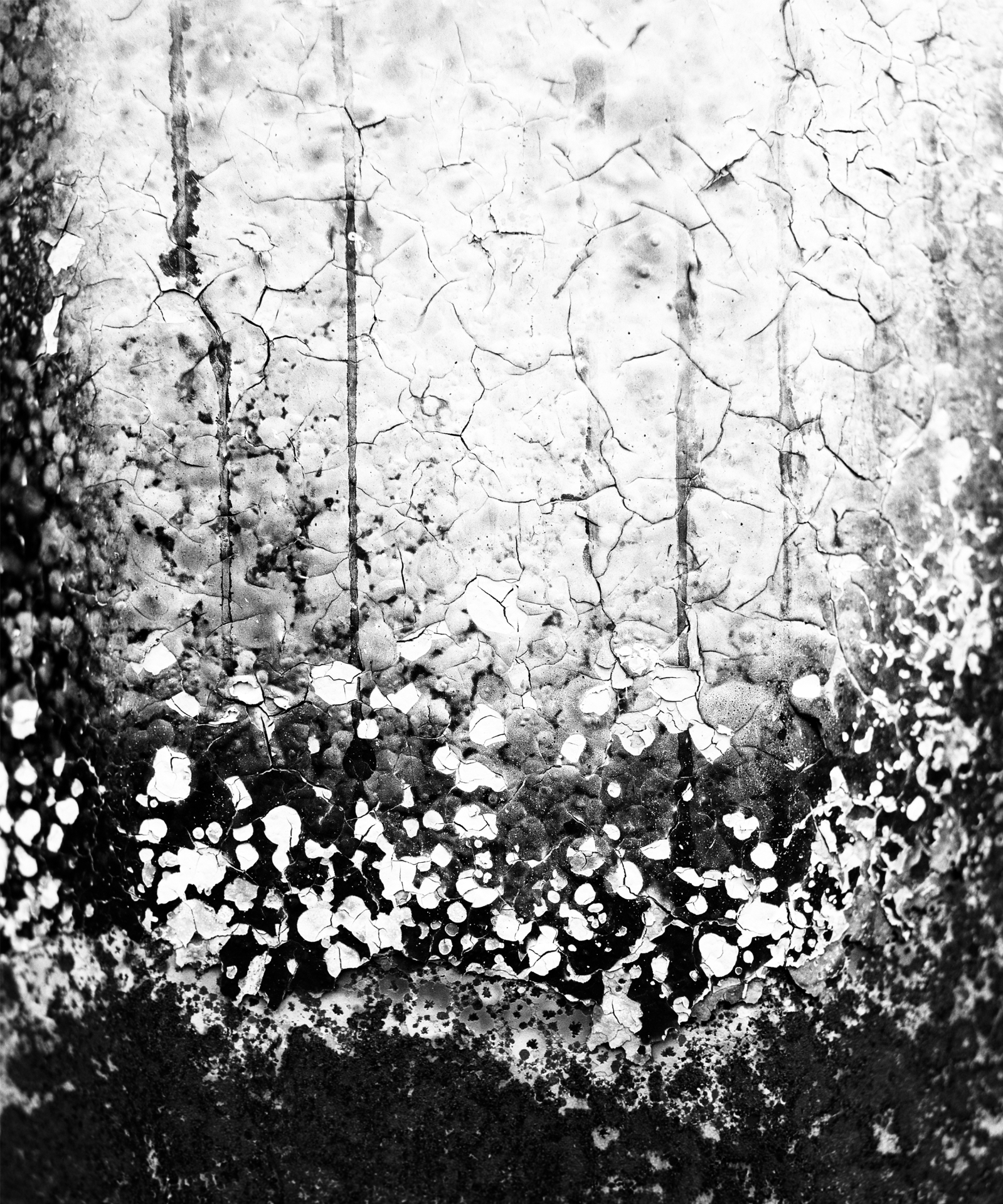 Extreme close-up of peeling, cracked paint on a concrete surface, forming a texture like lichen or landscape.