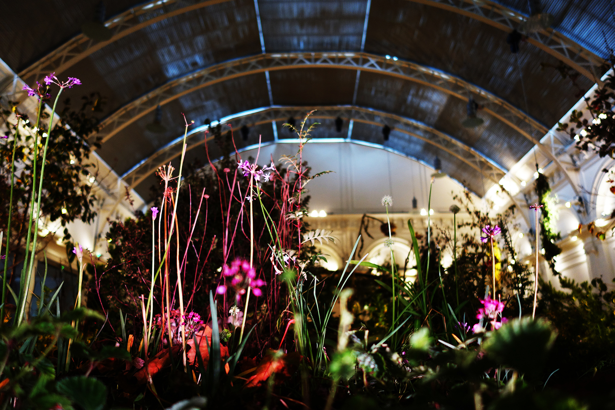 RHS Lindley Hall: An Indoor Food Forest
