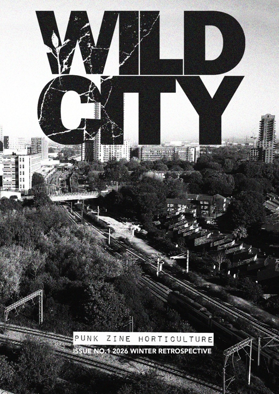 Wild City zine issue one cover — right half.