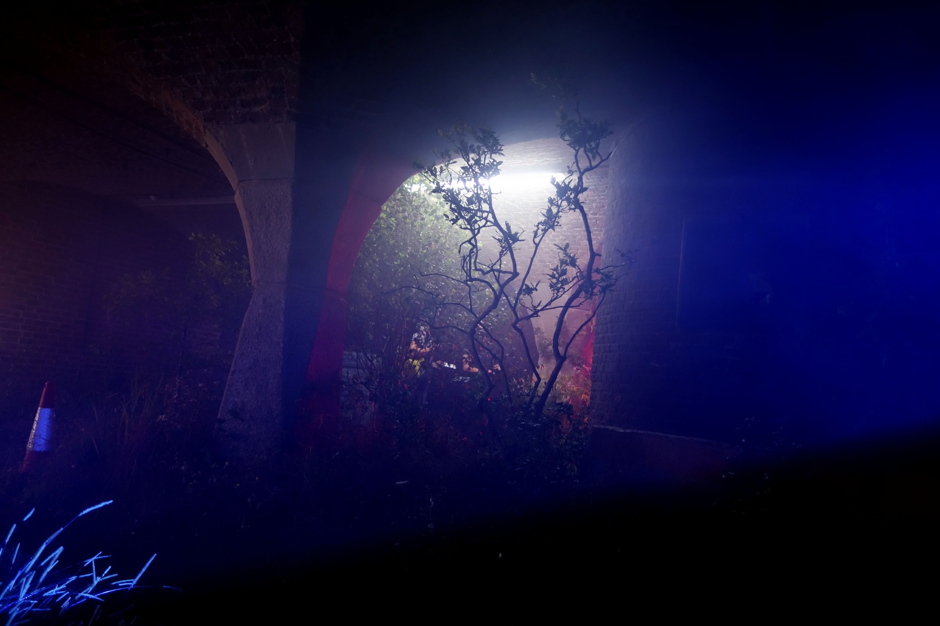 Trees framed in a lit archway, haze catching red and blue light