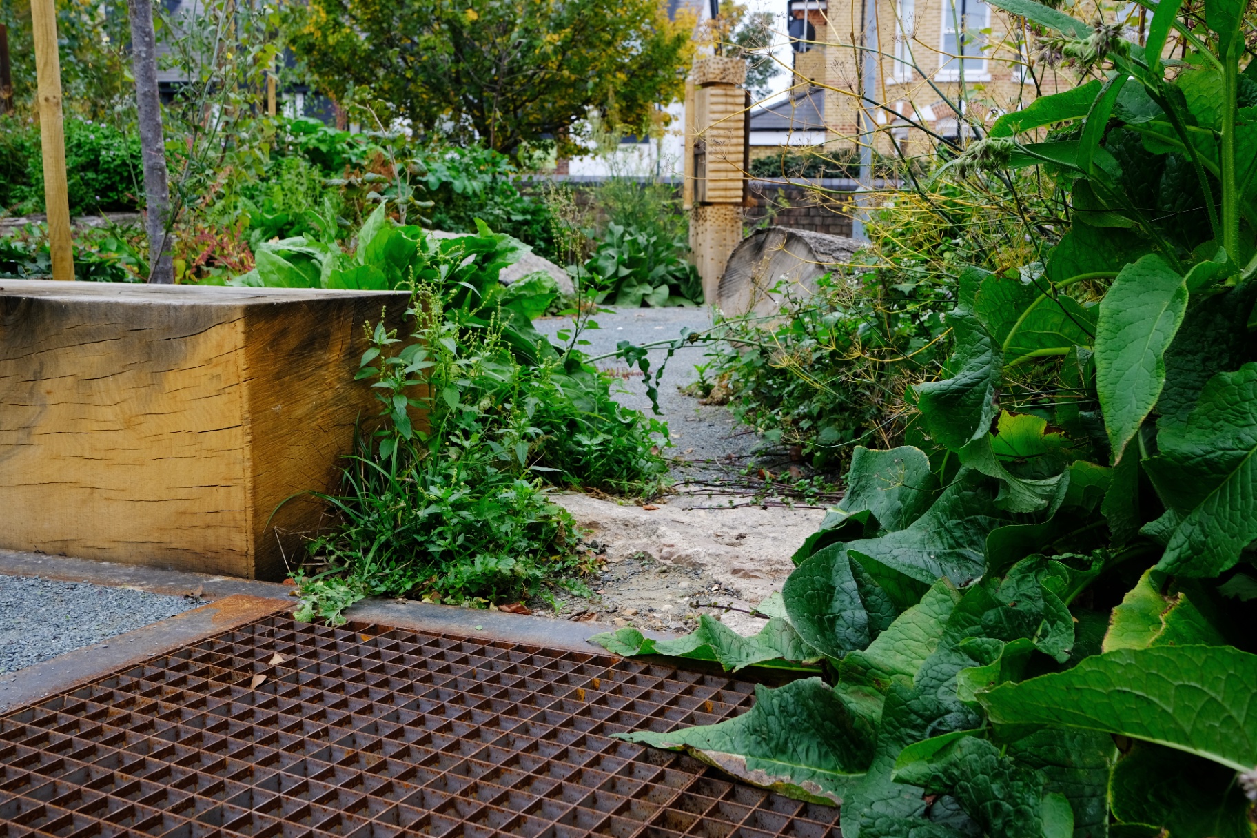 Reclaimed grating, oak-sleeper edge and self-seeded planting along the nature trail