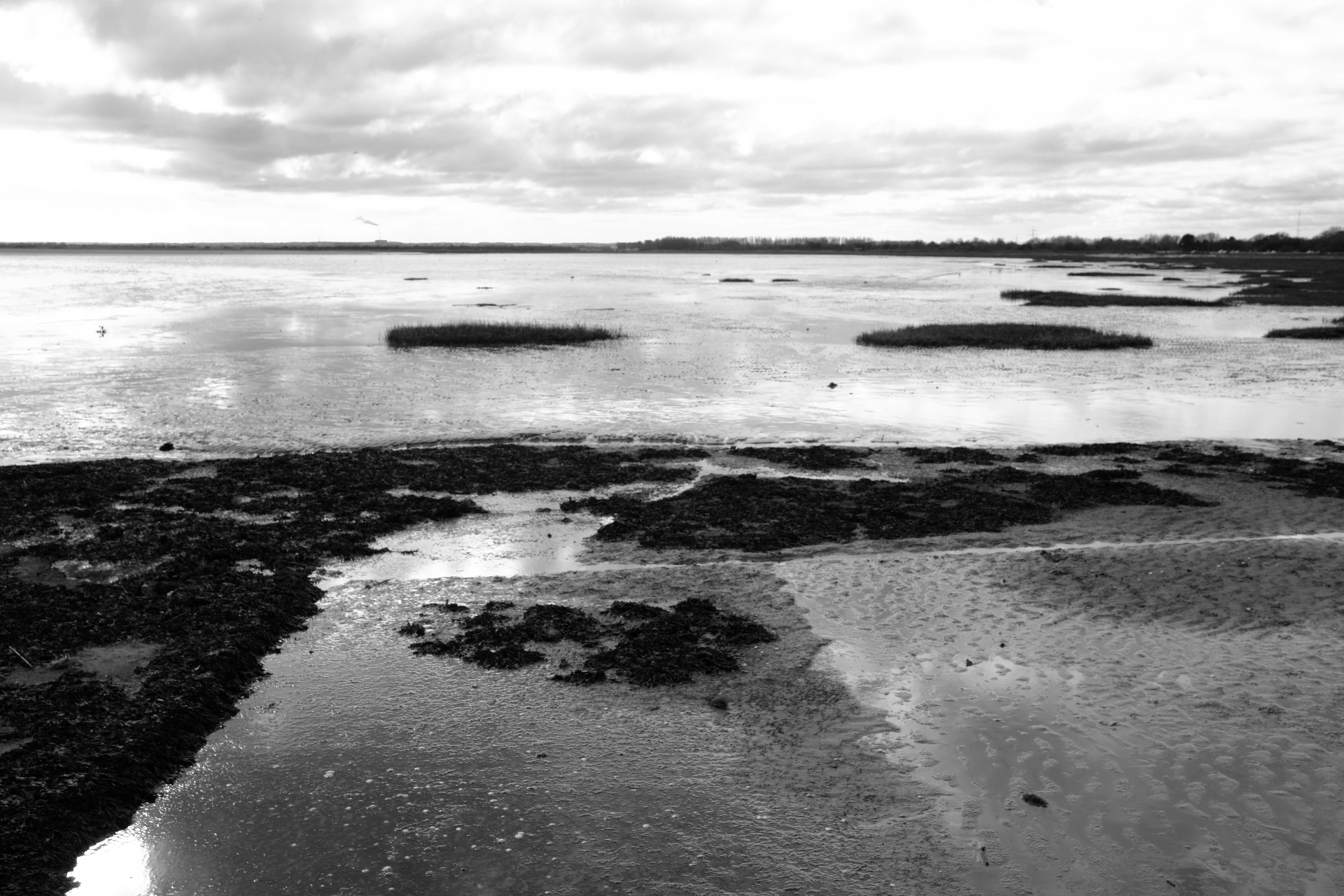 Wide view of Pegwell Bay at low tide: mud, seaweed islands and reflective water under a heavy sky.