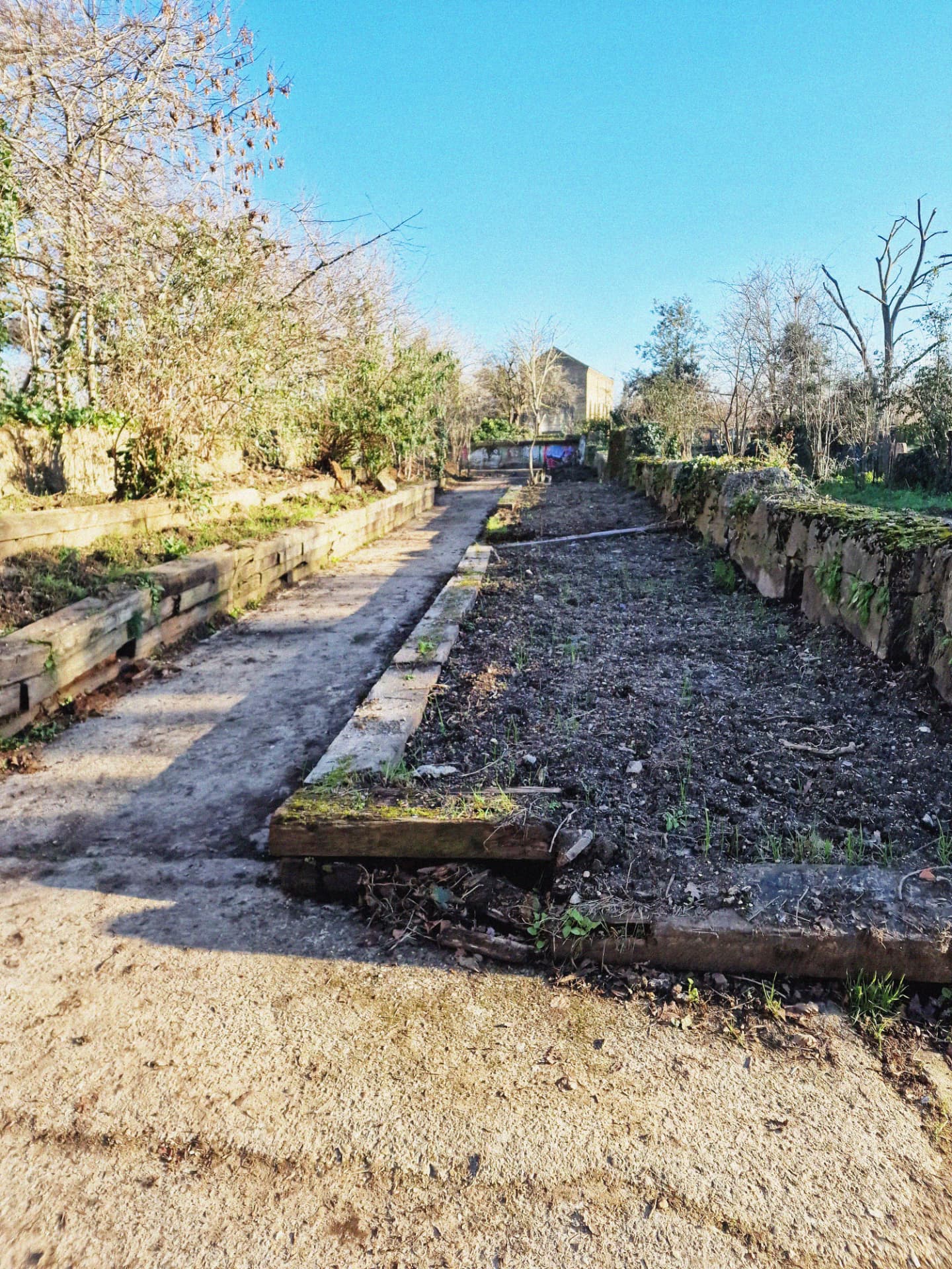 The Allotment