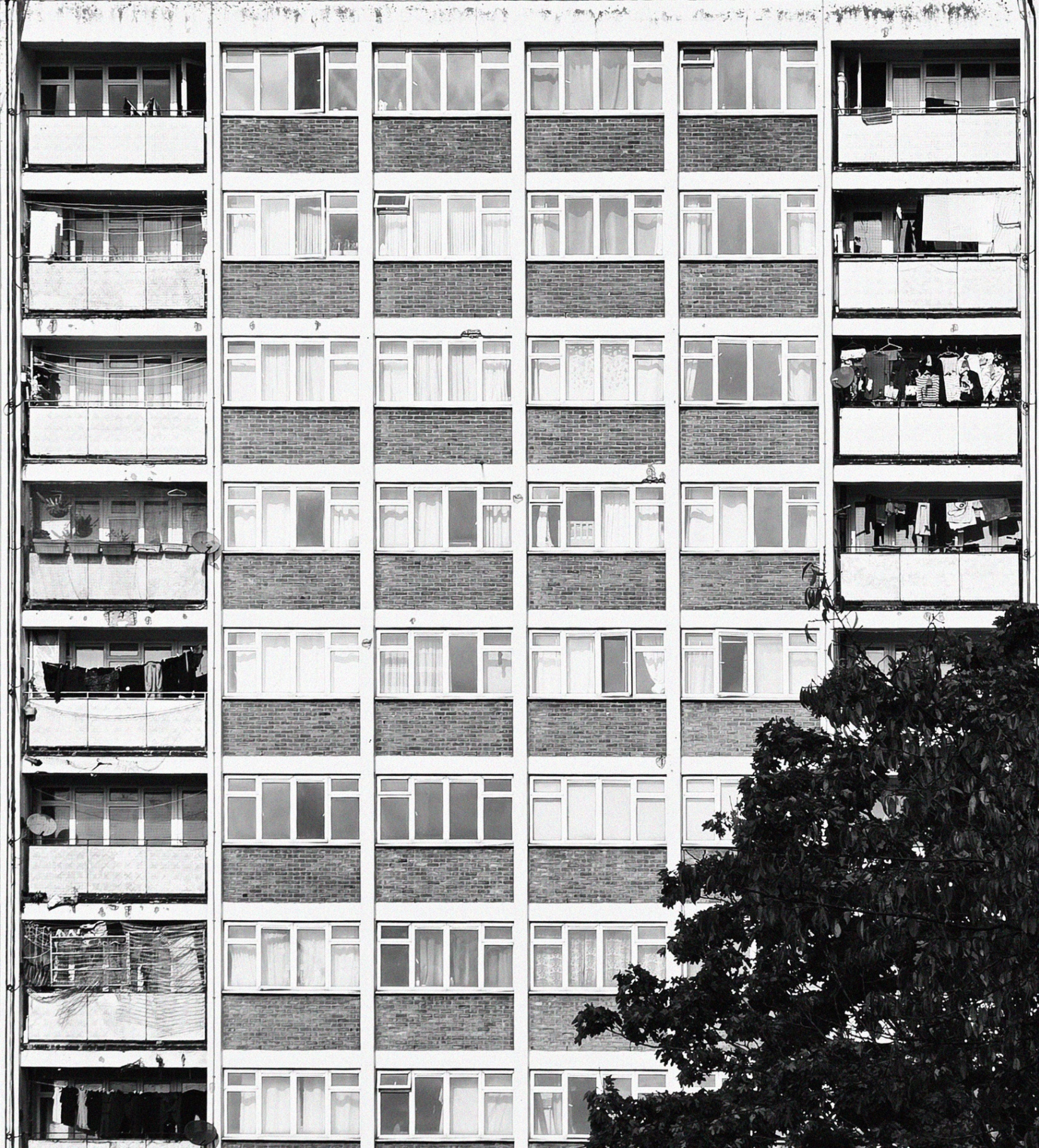 Facade of a North London tower block with a tree in the foreground