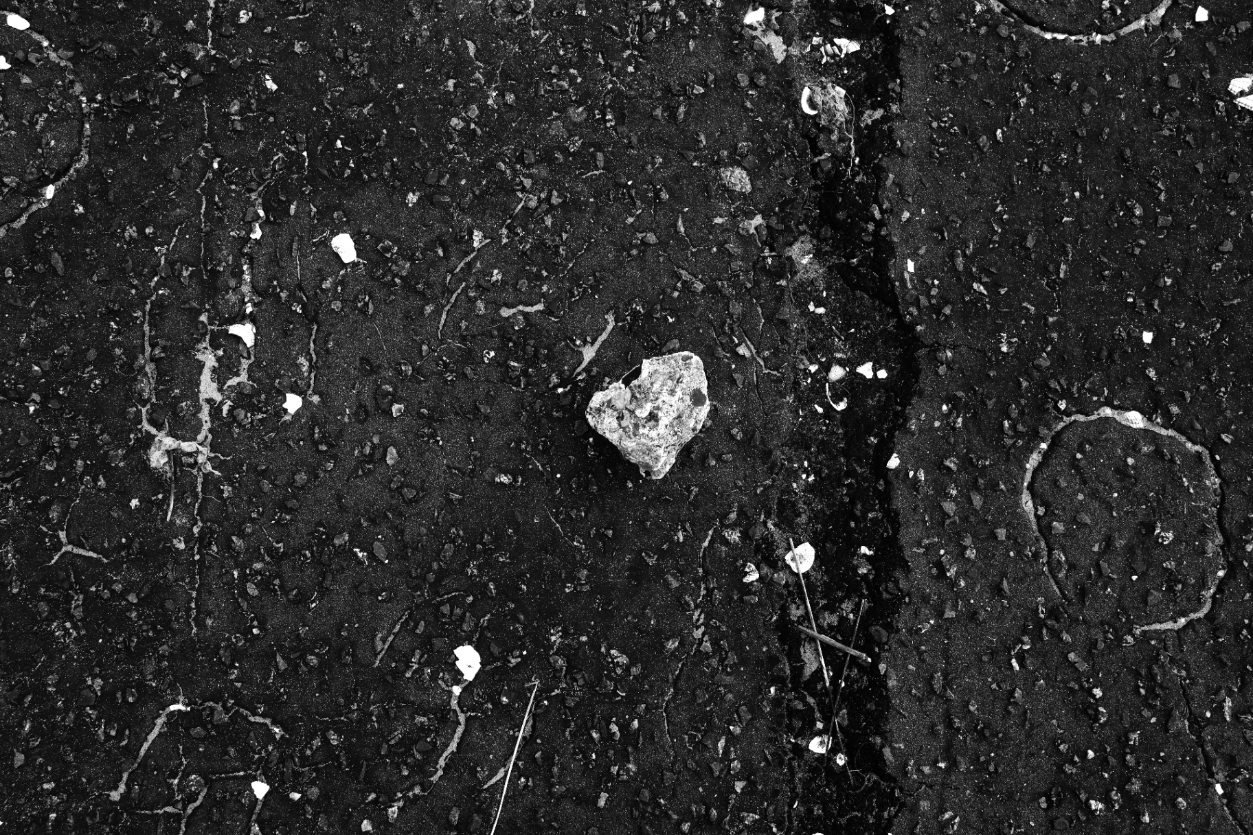 Close-up of black tarmac studded with white chalk fragments and hairline cracks.