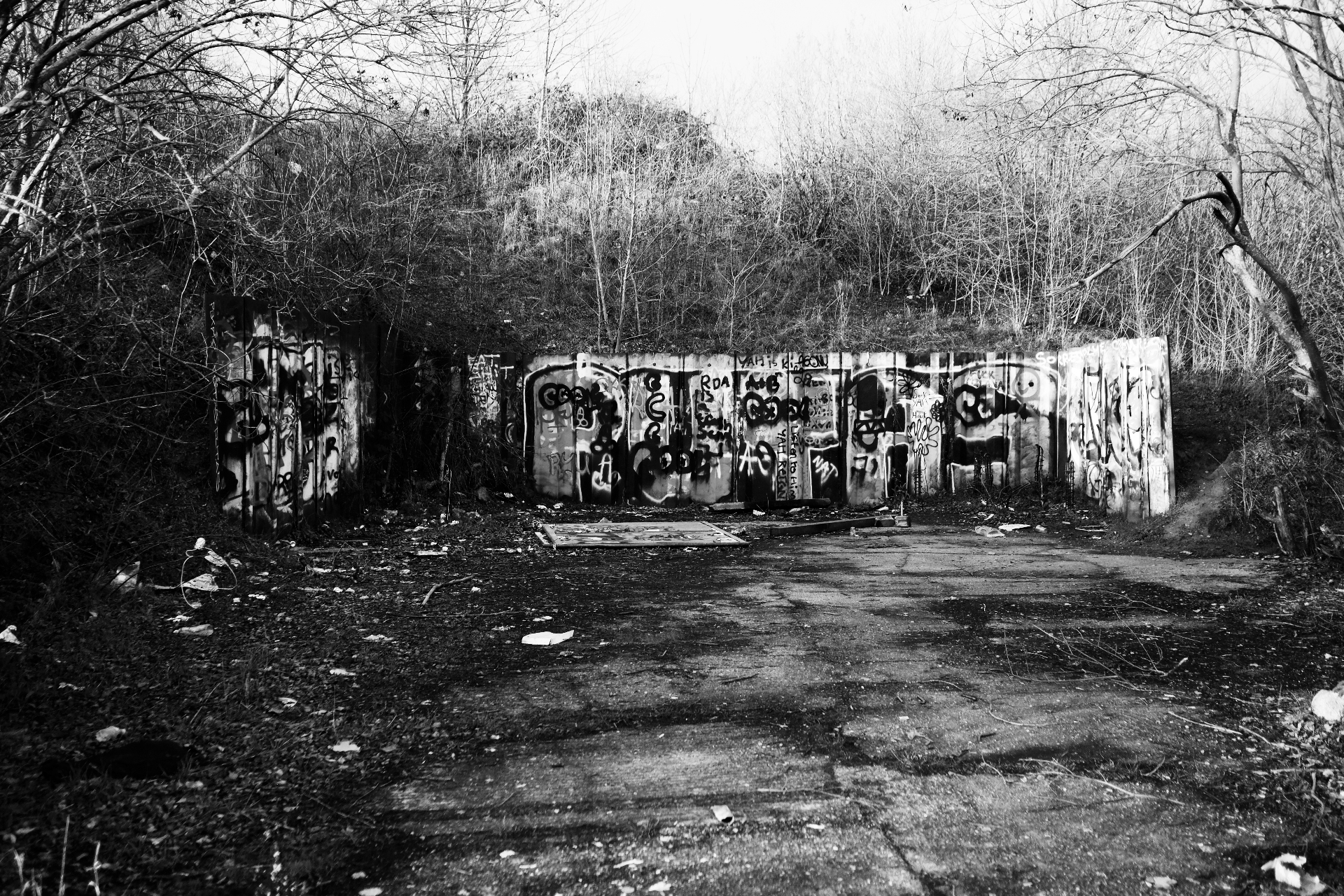 A long, low graffiti-covered concrete wall set into the hillside, framed by bare branches.