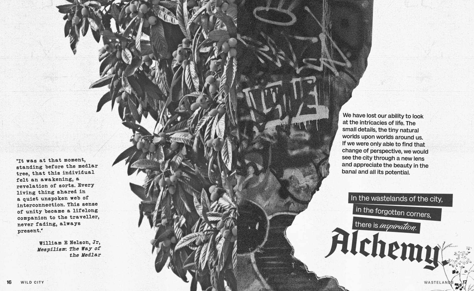 Alchemy · Wastelands · pp. 16–17