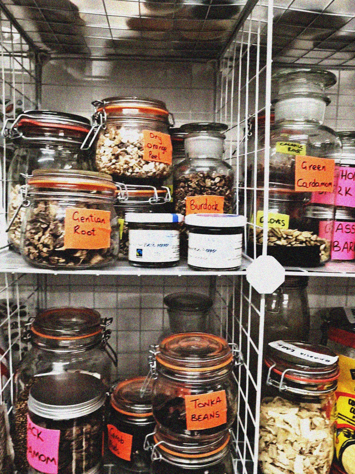 Shelves of labelled jars: gentian root, dry orange peel, burdock, green cardamom, tonka beans.