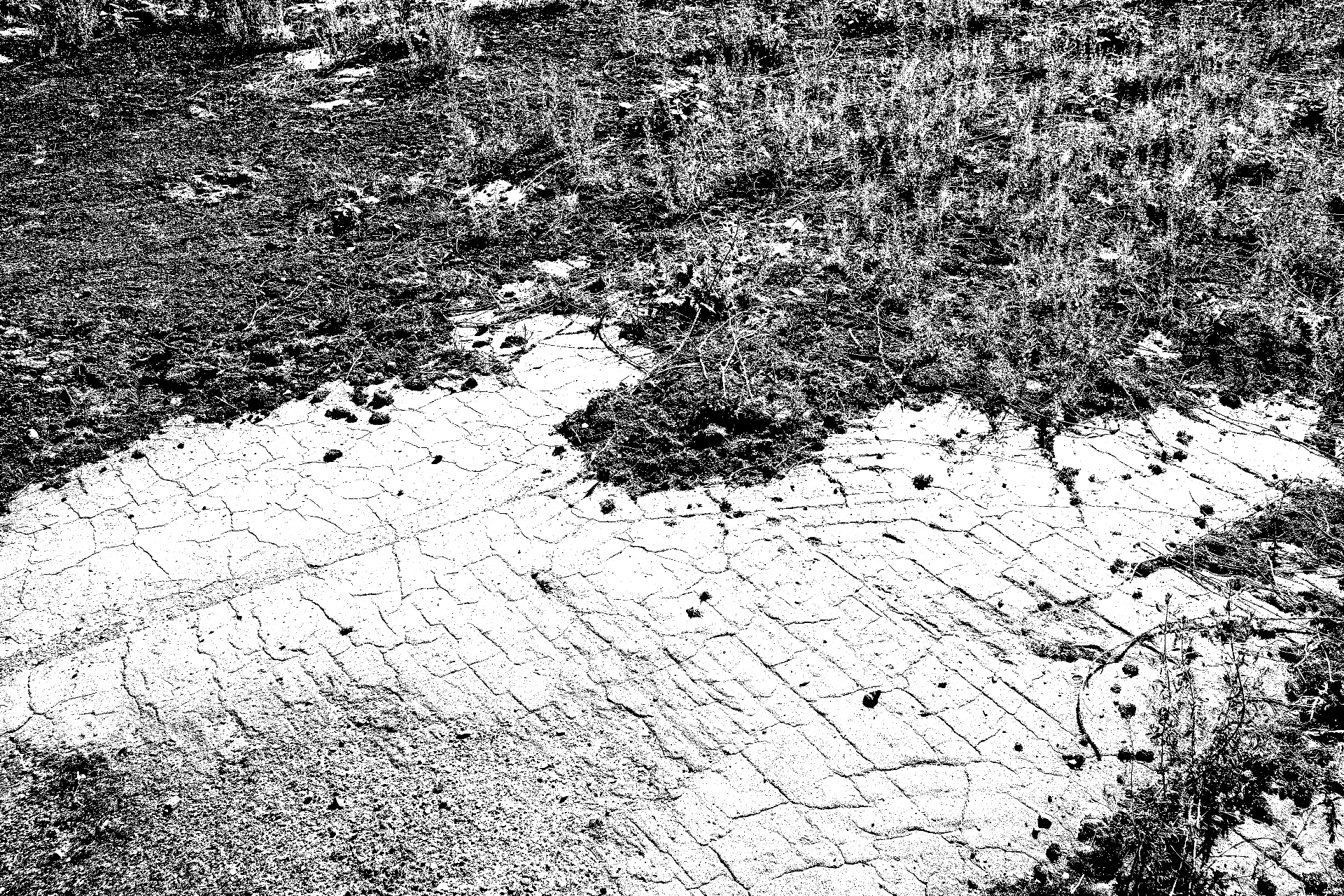 A stretch of cracked, weathered tarmac patterned like dry earth, edged by dry grass.