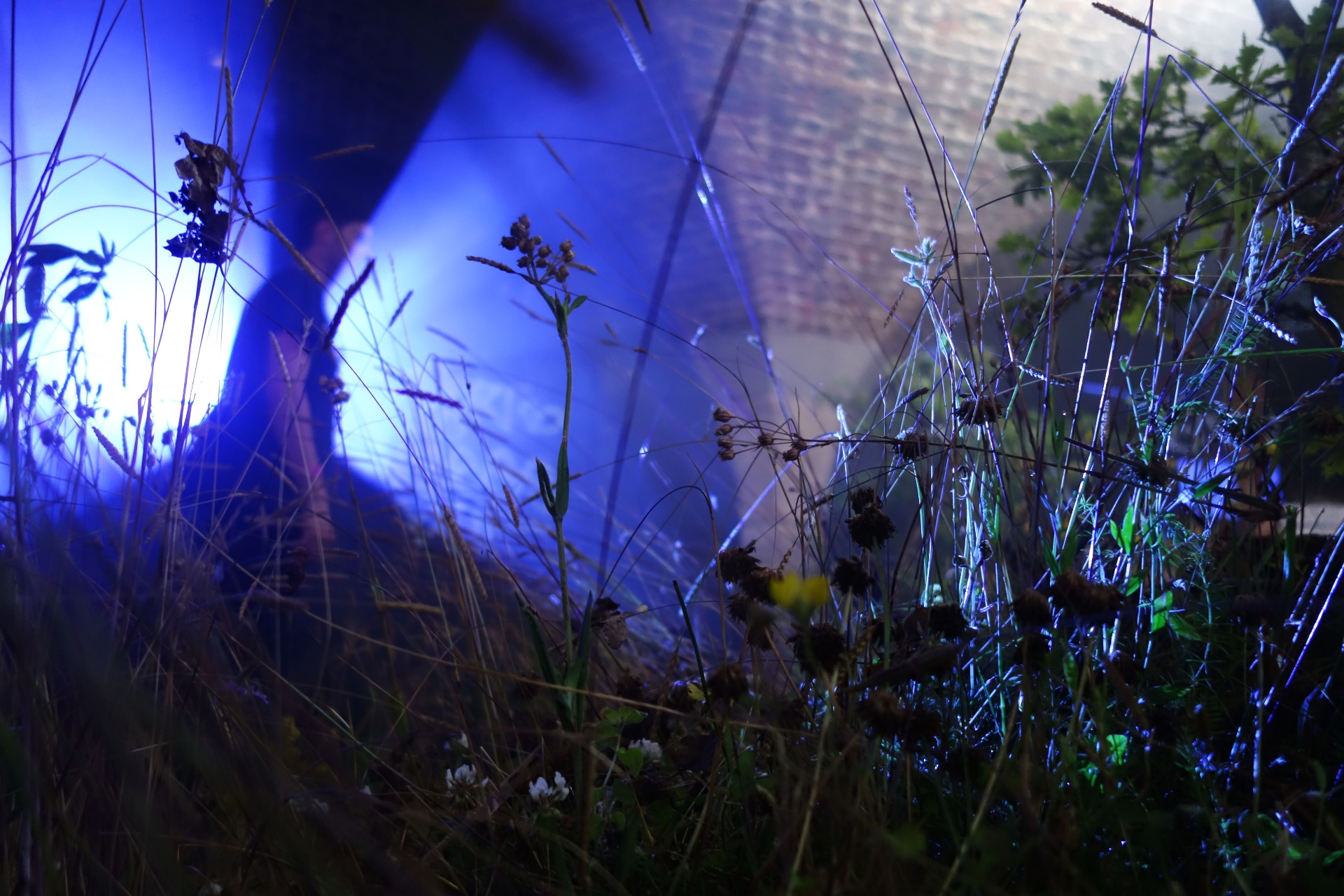 Future Fest: The Garden