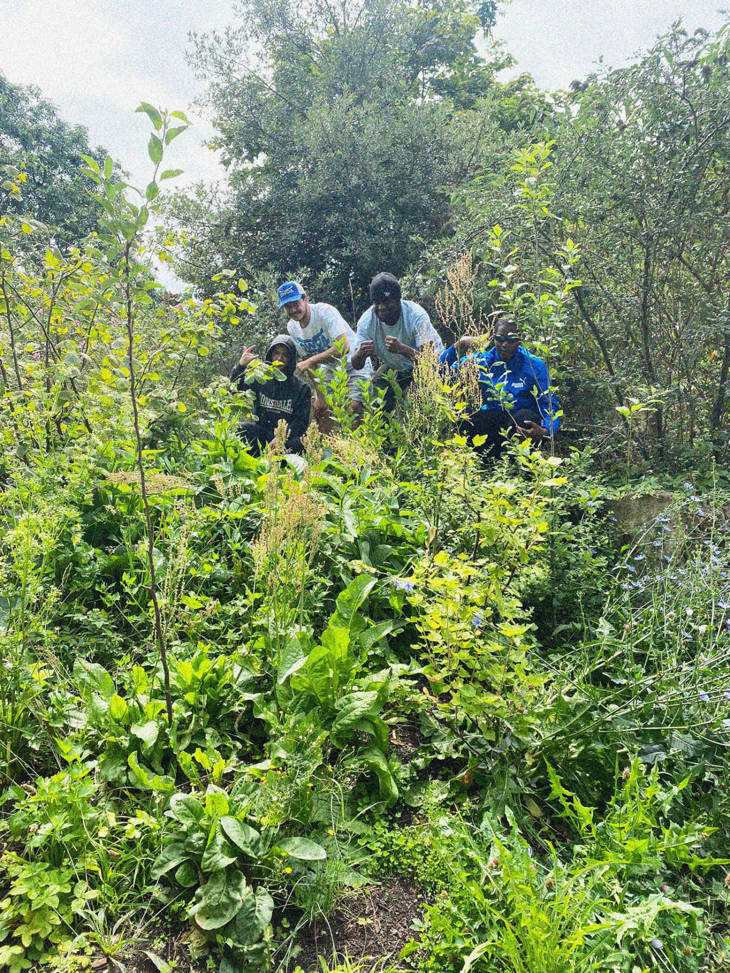 The Food Forest