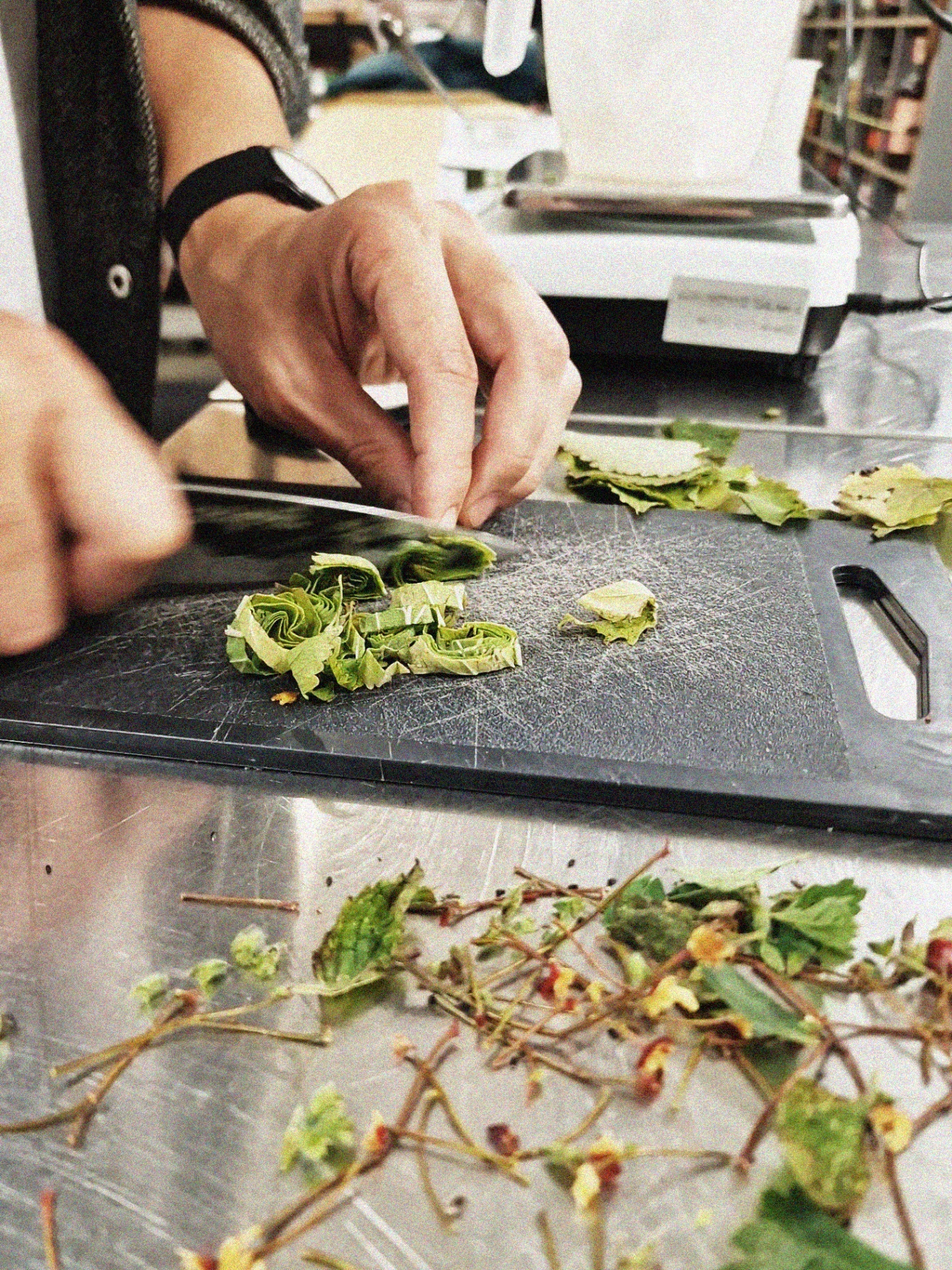 Hands slicing dried leaves and hawthorn on a chopping board.