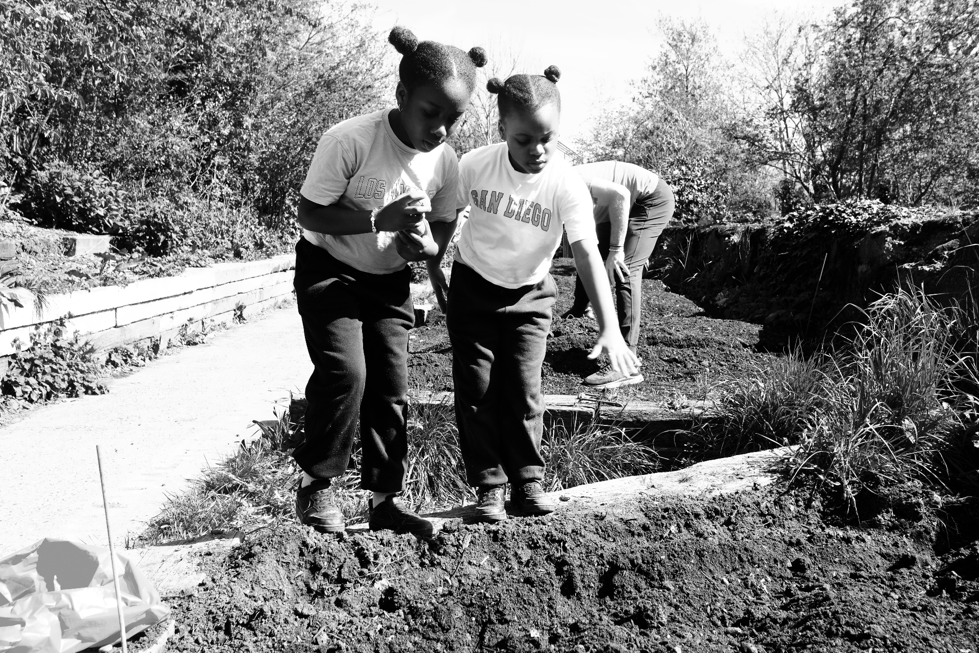 Two girls stepping across freshly dug allotment soil planting potatoes.