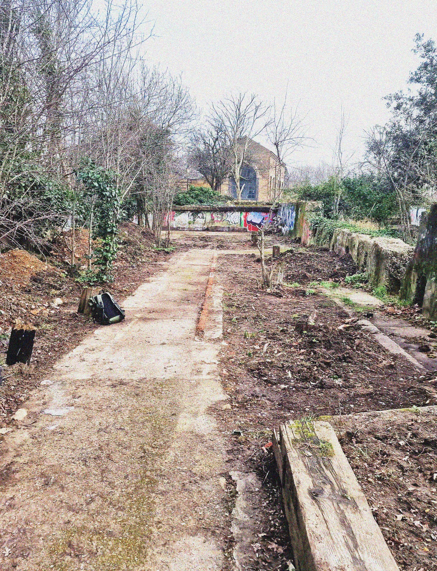 The Food Forest
