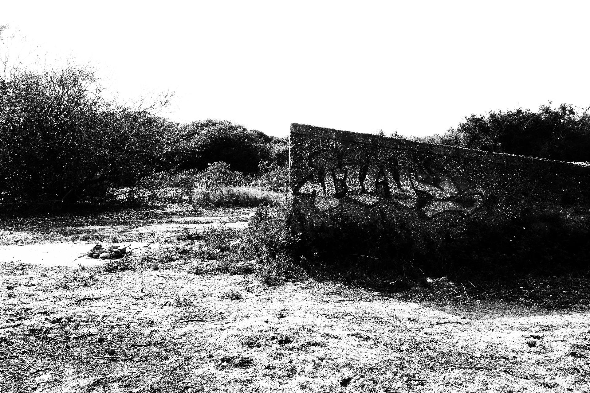 A graffitied concrete wall standing alone in scrub and dry grass at Canvey Wick.