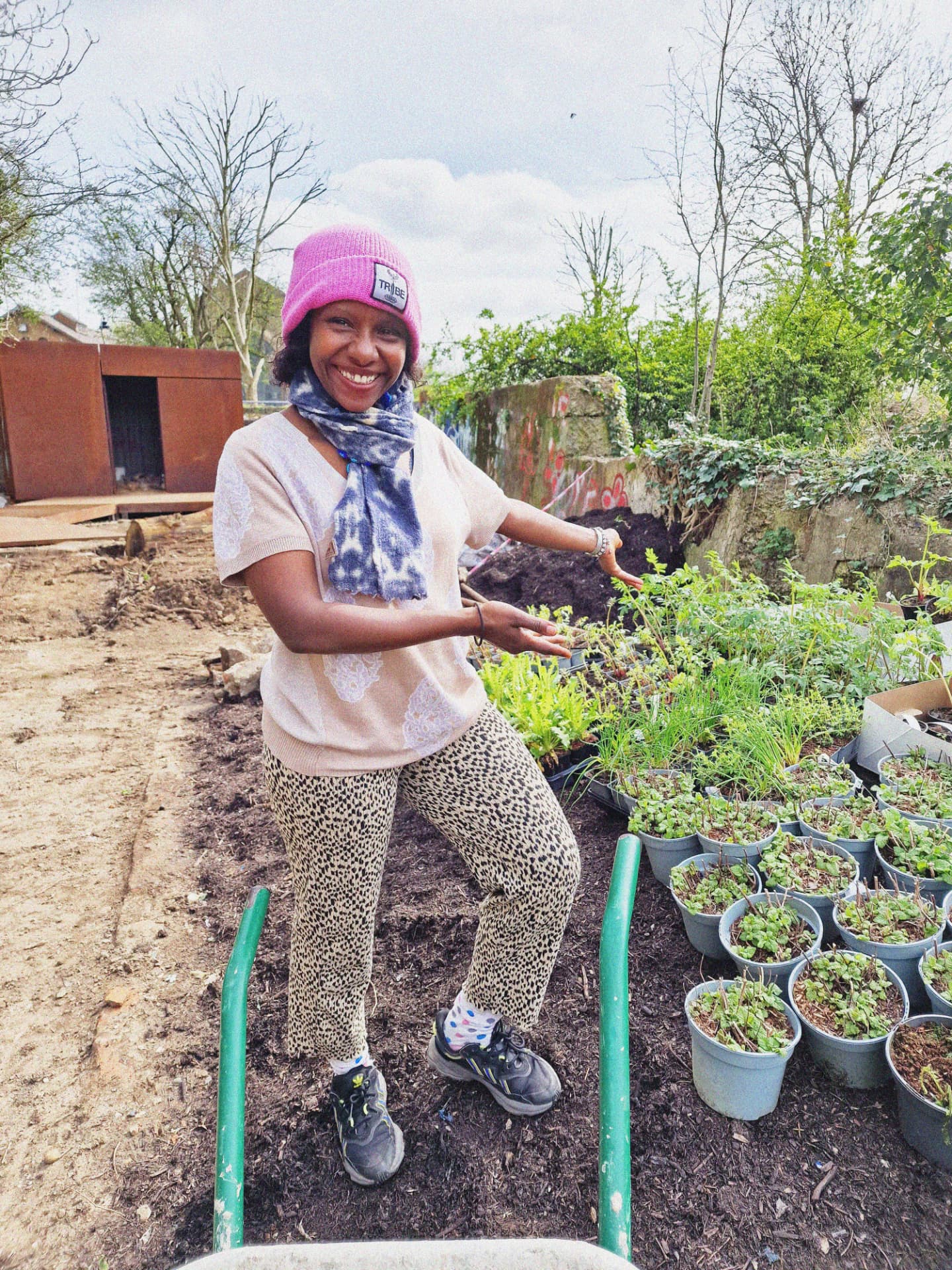 The Food Forest