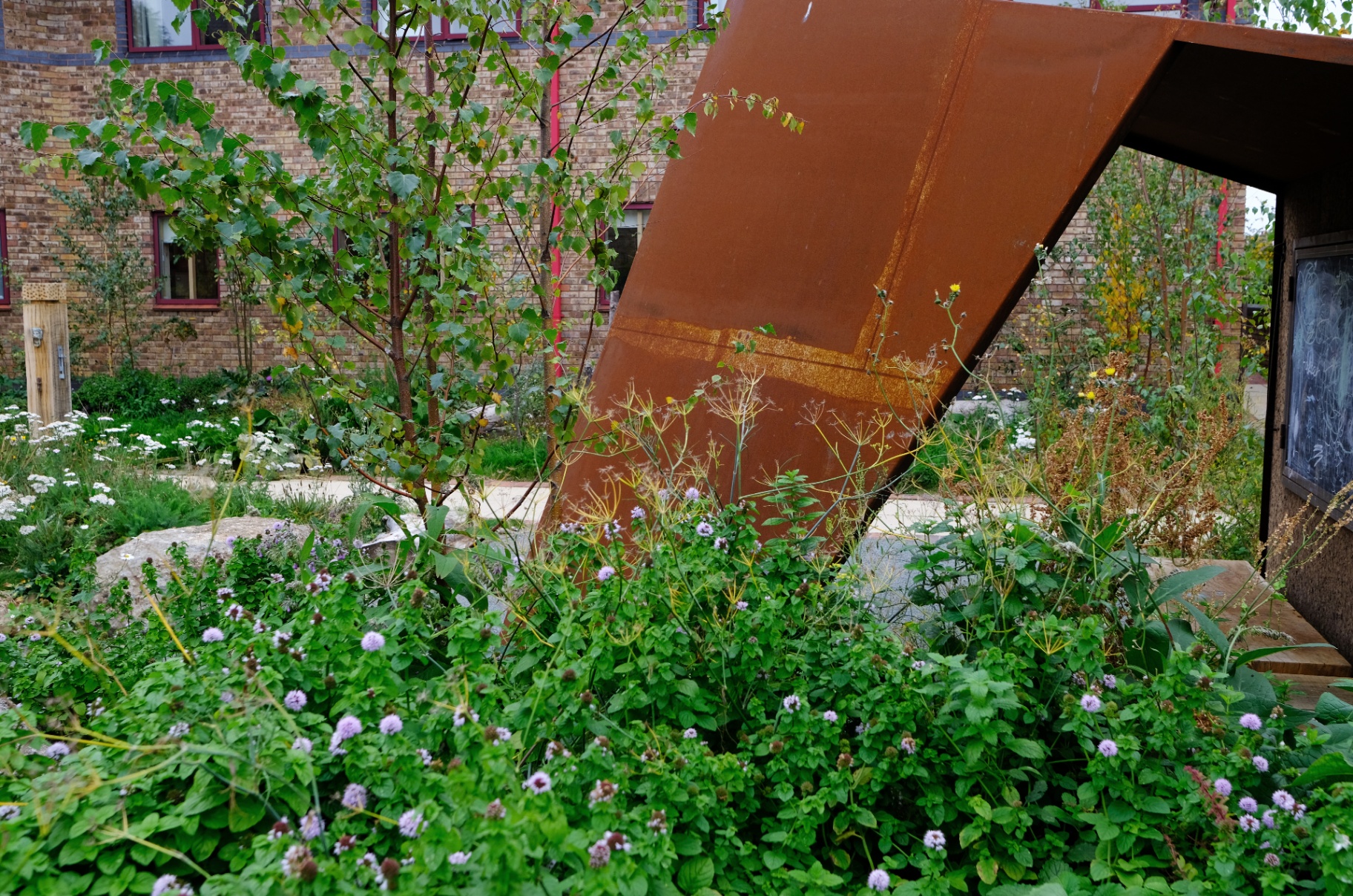 Corten shelter angled over water mint and fennel