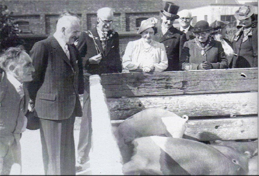 Archive photograph of a royal visit inspecting pigs kept at the Markfield site during wartime