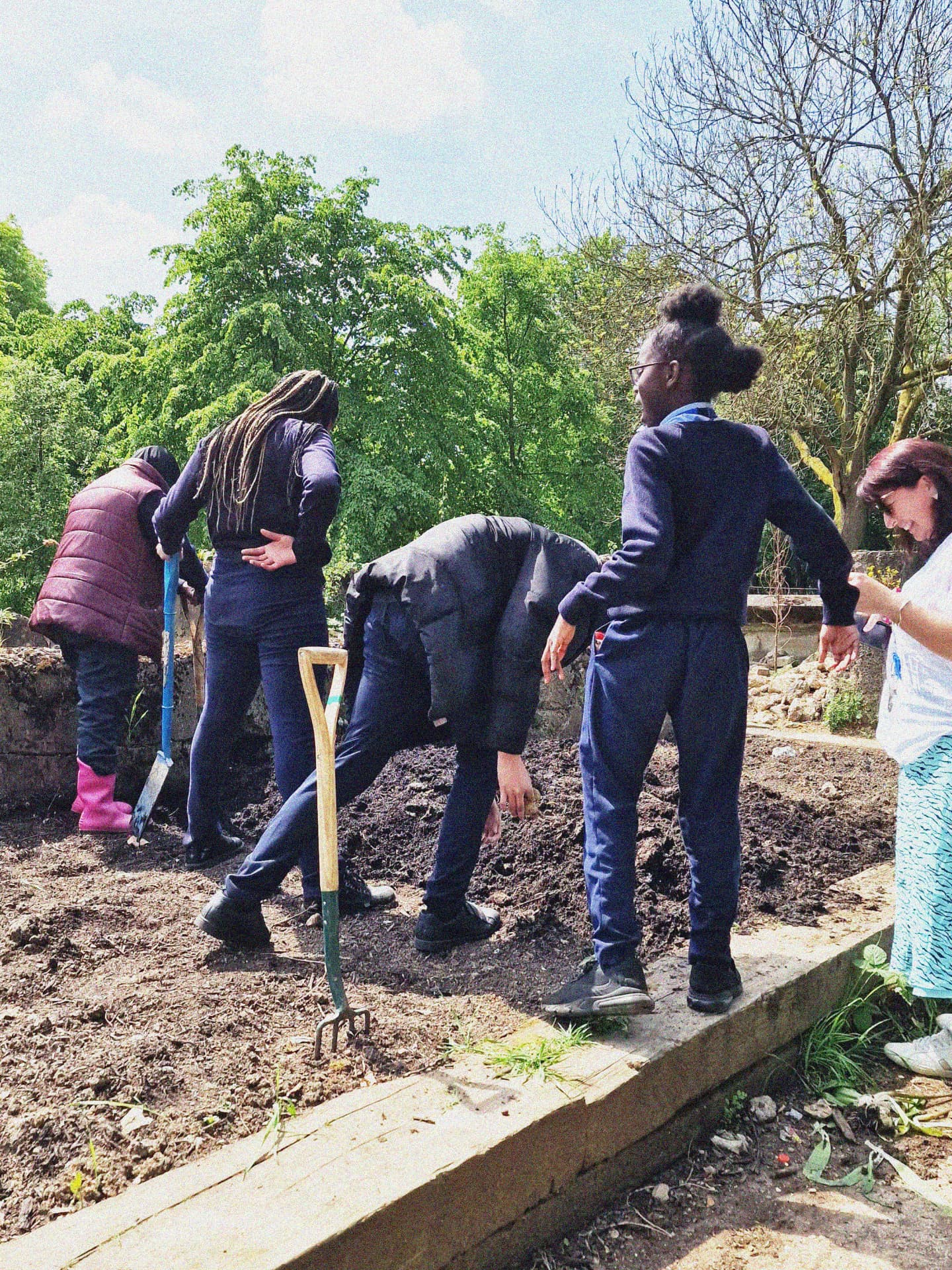 School crew · First dig
