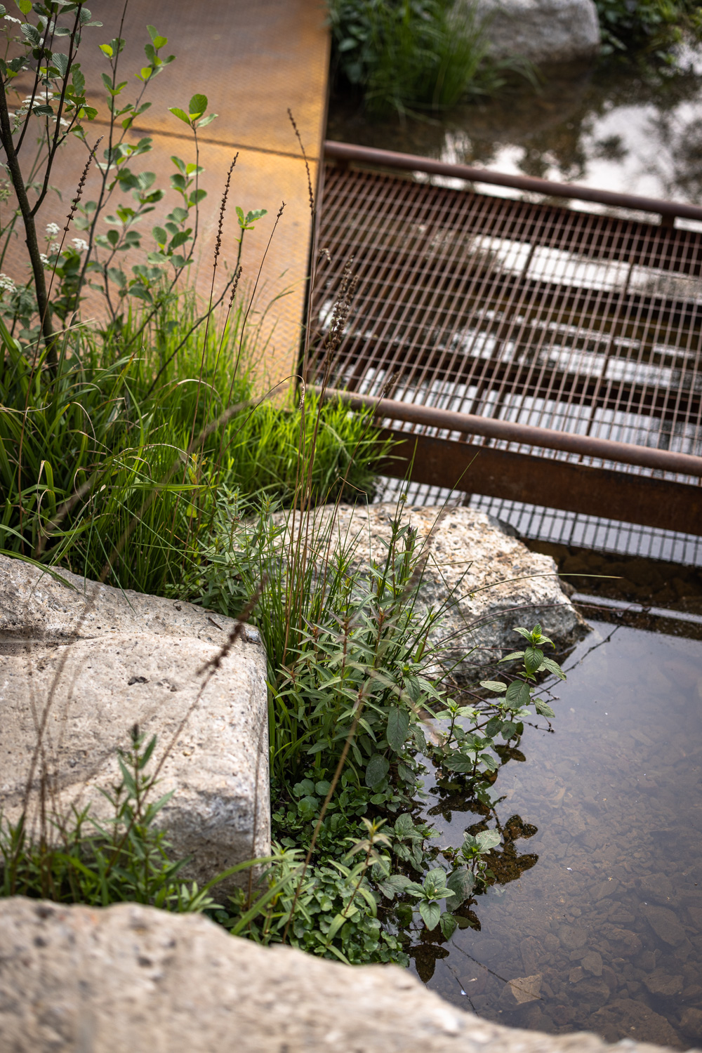 Reclaimed concrete boulders at the water's edge, mint and grasses catching light