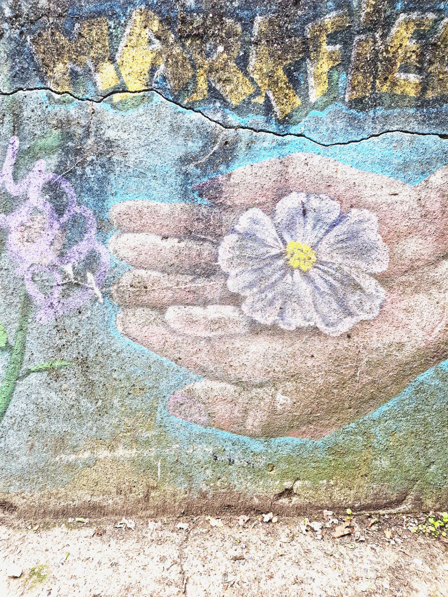 Painted wildflowers on a cracked concrete wall