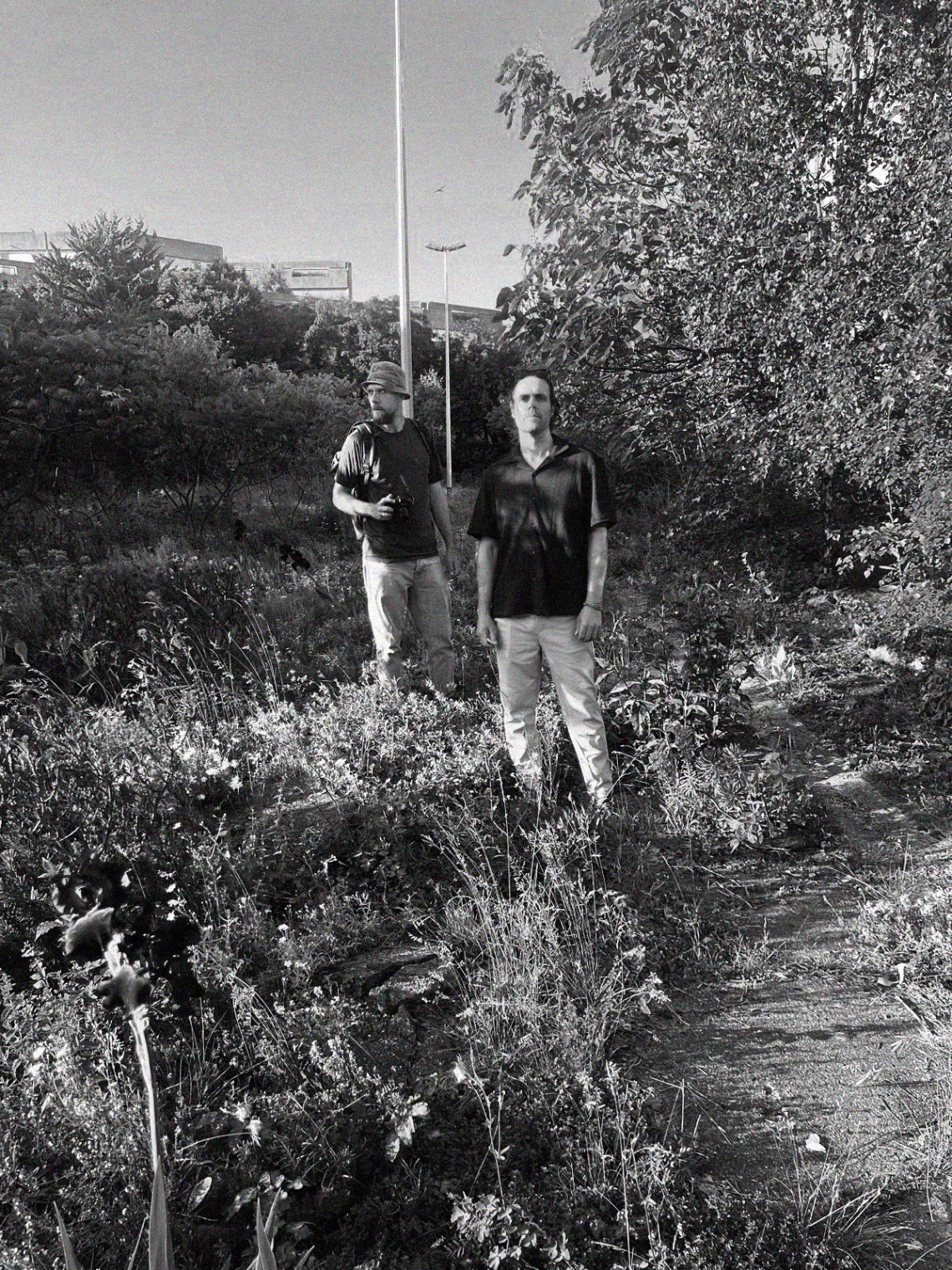 Two people standing in an overgrown urban meadow near a road