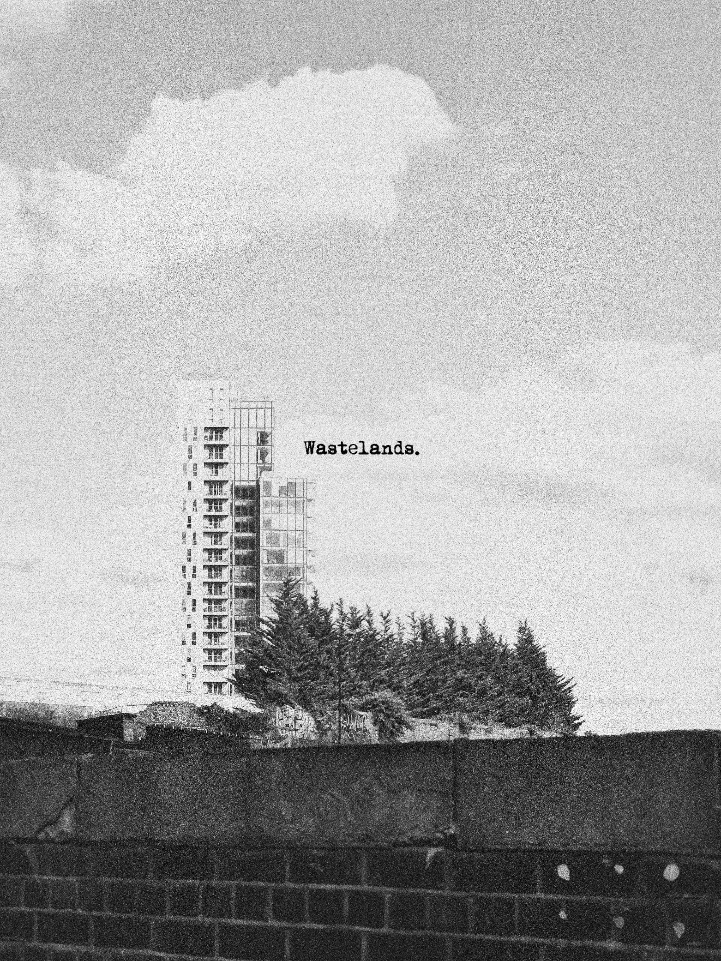 Tower block rising above trees and a graffiti wall.